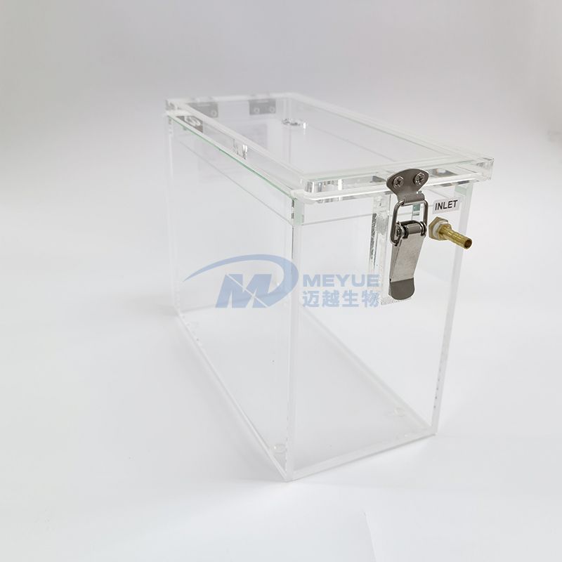 M5216 Anesthesia induction box (Rat)